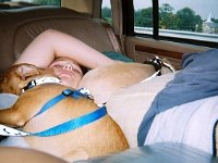 photos 2000-200901030